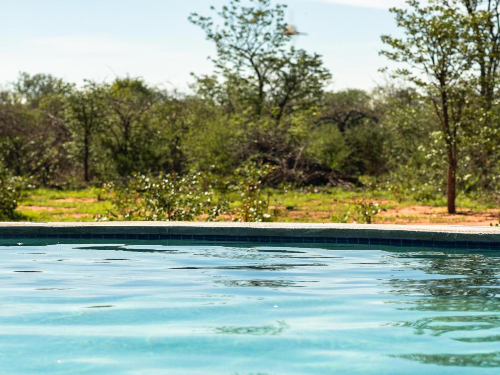 Kifaru Bush Camp Hotel เอาท์โจ ภายนอก รูปภาพ